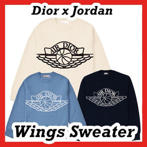 めっちゃいい感じ?ディオール ナイキ カジュアル コピー ディオール x ナイキ Air Jordan Wings Sweater NATURAL